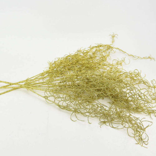 Asparagus csillámos arany  4db/csomag