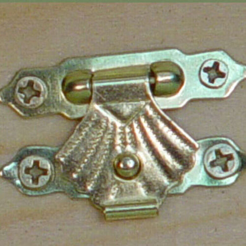 Csat kagylós