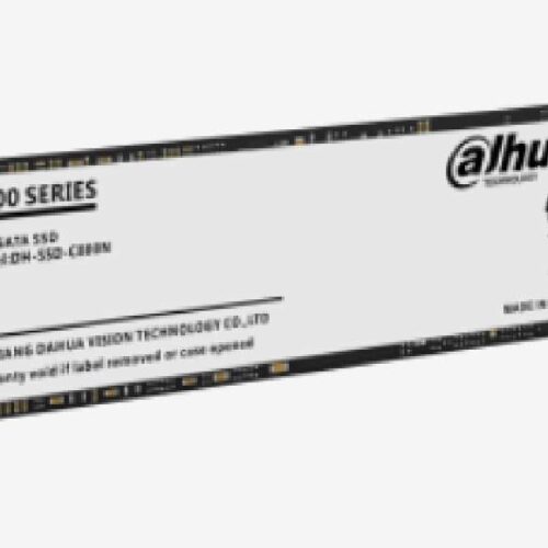 Dahua C800 M.2 SSD - 256GB