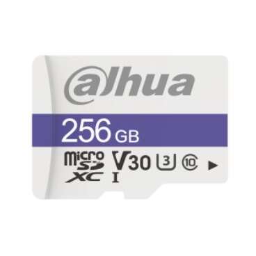 Dahua Technology C100 256 GB MicroSDXC UHS Class 10 (DHI-TF-C100/256GB)
