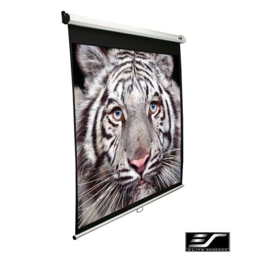 Elite Screen 119" (1:1) M119XWS1 Projektor Vászon (M119XWS1)