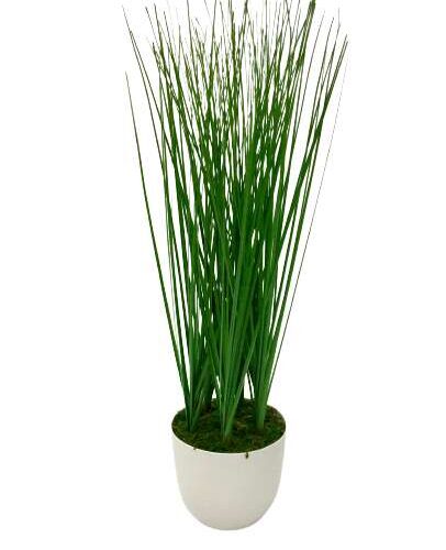 Fű Műnövény kerek fehér kaspóban 45cm