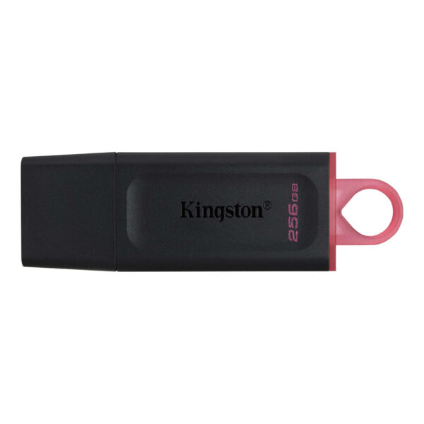 Kingston DTX/256GB pendrive 256GB