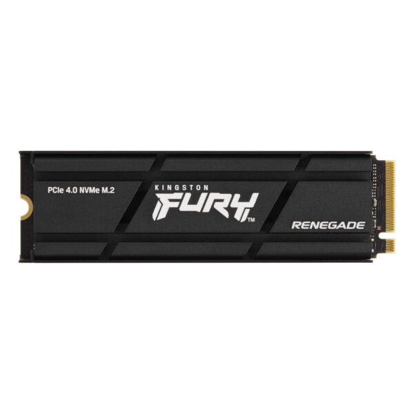 Kingston SFYRDK/2000G SSD M.2 PCIe 4.0 NVMe 2000GB FURY Renegade...