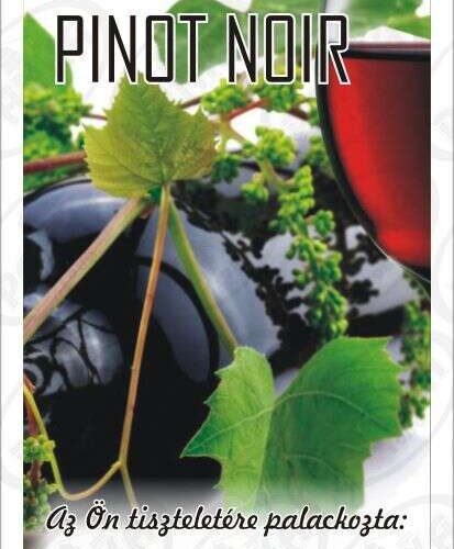 Matrica pinot noir 50db/csom