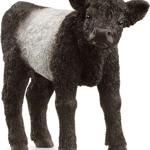 Schleich Galloway szarvasmarha borjú 13969