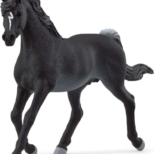 Schleich Horse Club Arab mén 13981