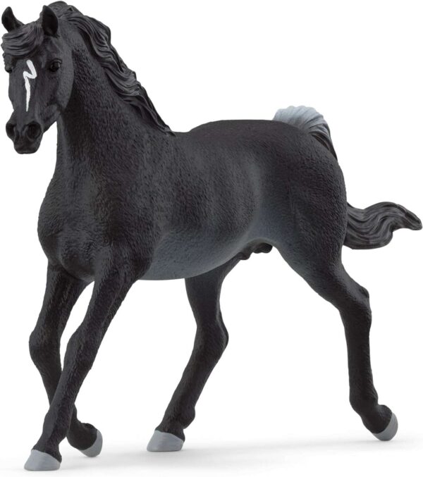 Schleich Horse Club Arab mén 13981