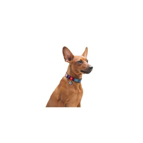 WAUDOG collar NASA21 - nyakörv (QR kódos