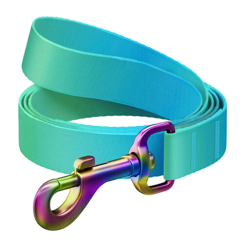 WAUDOG gradient nylon dog leash