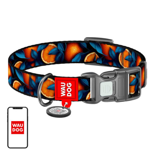Waudog "Oranges" nylon nyakörv QR kóddal