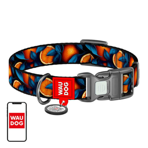 Waudog "Oranges" nylon nyakörv QR kóddal