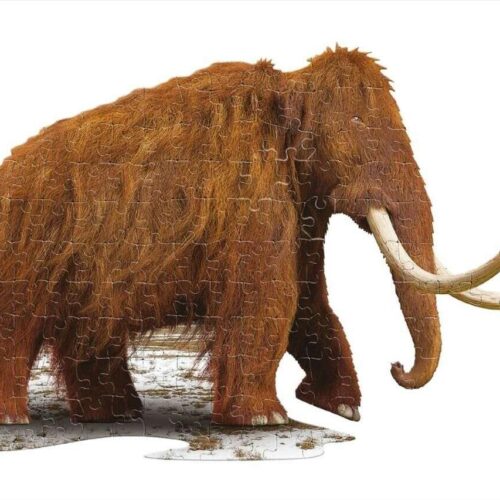 Wow junior Puzzle - Gyapjas mamut 100db