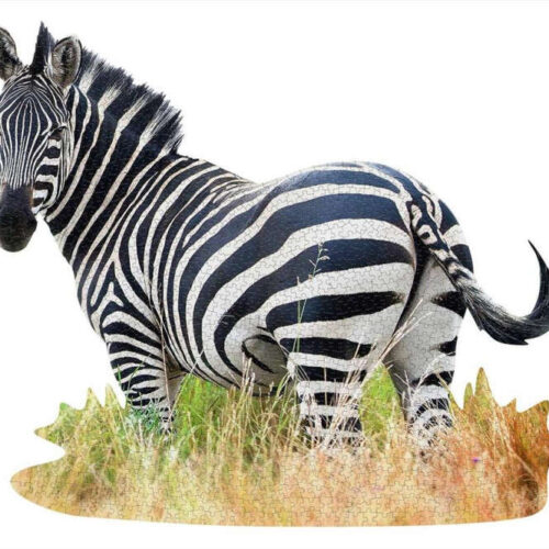 WOW Puzzle 1000 db - Zebra